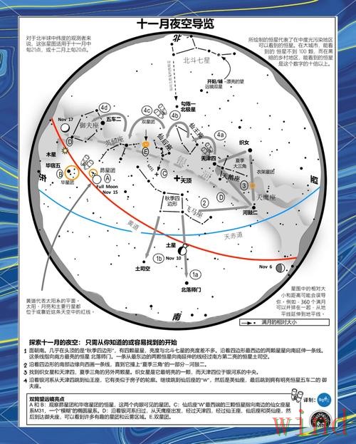 星空综合版访问方式详细解析