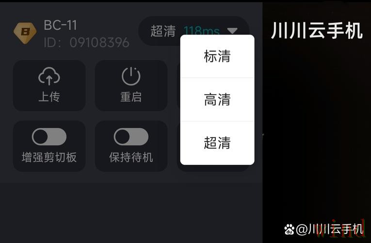 开云手机APP最新下载入口指南