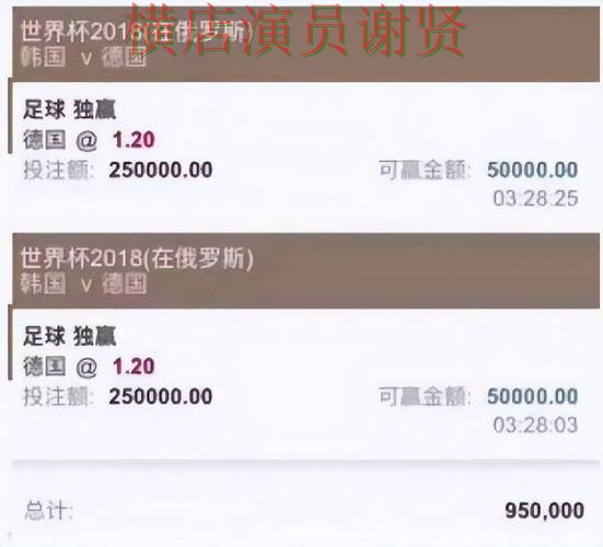 世界杯投注平台推荐哪个好？围绕官网直达做一次全面盘点（世界杯数据）